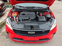 Geely Binrui 1.4T CVT F-Sport Edition - ფოტო 20