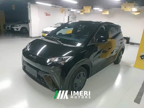 2023 BYD Seagull Vitality Edition - ავტომობილი ჩინეთიდან