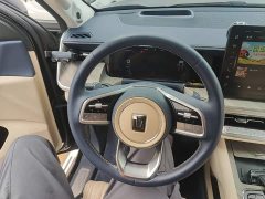Tank 500 3.0T Sport Landscape Edition 5-Seater - ფოტო 11
