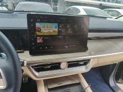 Tank 500 3.0T Sport Landscape Edition 5-Seater - ფოტო 13