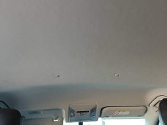 Toyota Wildland Facelift 2.0L CVT FWD Leading Edition - ფოტო 14