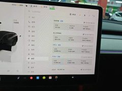 Tesla Model Y 2023 Rear-Wheel Drive - ფოტო 12