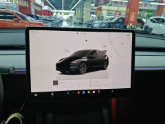 Tesla Model Y 2023 Rear-Wheel Drive - ფოტო 13