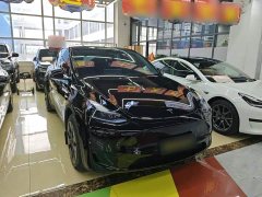 Tesla Model Y 2023 Rear-Wheel Drive - ფოტო 4