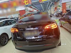 Tesla Model Y 2023 Rear-Wheel Drive - ფოტო 6