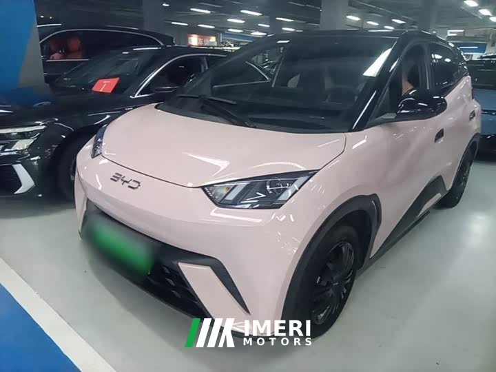 BYD Seagull Glory Edition 305km Vitality Version - ავტომობილი ჩინეთიდან