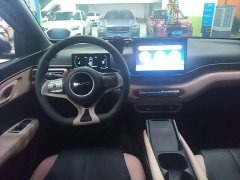 BYD Seagull Glory Edition 305km Vitality Version - ფოტო 11