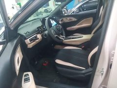 BYD Seagull Glory Edition 305km Vitality Version - ფოტო 16