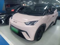 BYD Seagull Glory Edition 305km Vitality Version - ფოტო 2