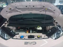 BYD Seagull Glory Edition 305km Vitality Version - ფოტო 20