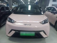 BYD Seagull Glory Edition 305km Vitality Version - ფოტო 3