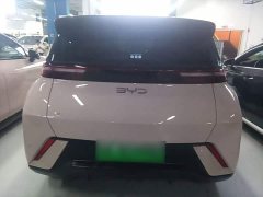 BYD Seagull Glory Edition 305km Vitality Version - ფოტო 6