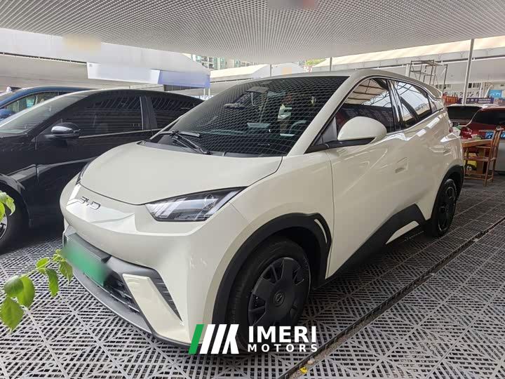 BYD Seagull Vitality Edition