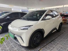 BYD Seagull 2023 Vitality Edition - ფოტო 1