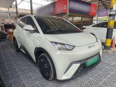 BYD Seagull 2023 Vitality Edition - ფოტო 4