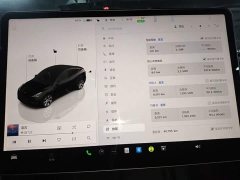 Tesla Model Y Rear-Wheel Drive - ფოტო 12