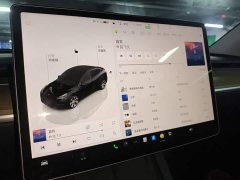 Tesla Model Y Rear-Wheel Drive - ფოტო 13