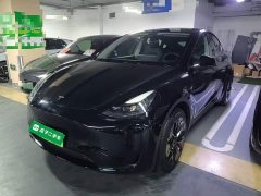 Tesla Model Y Rear-Wheel Drive - ფოტო 2
