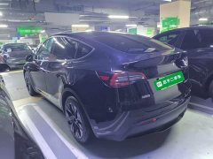 Tesla Model Y Rear-Wheel Drive - ფოტო 5