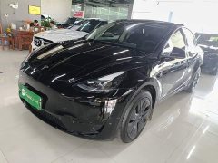 Tesla Model Y Rear-Wheel Drive - ფოტო 1