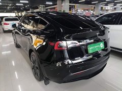 Tesla Model Y Rear-Wheel Drive - ფოტო 5