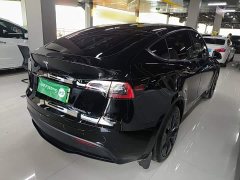 Tesla Model Y Rear-Wheel Drive - ფოტო 7