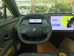 Nio Firefly Carefree Edition - ფოტო 11