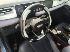 Geely Geometry E Firefly 2022 401KM Linglong Tiger 4-Seater - ფოტო 11