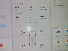 Li Auto MEGA Home Family Edition - ფოტო 12