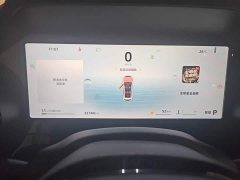Geely Xingyue L 2.0TD High-Power Automatic FWD Horizon Edition - ფოტო 12