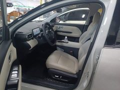 Wuling Binguo PLUS 2024 401km 5-Seater - ფოტო 11