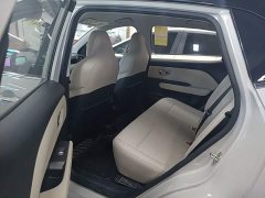 Wuling Binguo PLUS 2024 401km 5-Seater - ფოტო 13