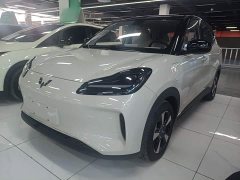 Wuling Binguo PLUS 2024 401km 5-Seater - ფოტო 2