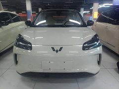 Wuling Binguo PLUS 2024 401km 5-Seater - ფოტო 3