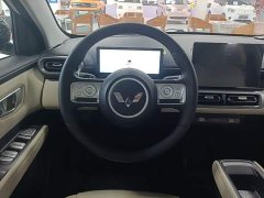 Wuling Binguo PLUS 2024 401km 5-Seater - ფოტო 7