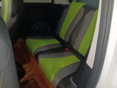 SAIC Corey Wei CLEVER 302km New Four-Seat Super Version - ფოტო 17