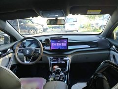 BYD Qin PLUS Champion Edition DM-i 55KM Leading - ფოტო 10