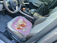 BYD Qin PLUS Champion Edition DM-i 55KM Leading - ფოტო 15