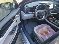 BYD Qin PLUS Champion Edition DM-i 55KM Leading - ფოტო 16