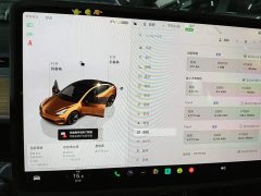 Tesla Model 3 2022 Rear-Wheel Drive - ფოტო 12