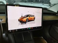 Tesla Model 3 2022 Rear-Wheel Drive - ფოტო 13