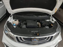 Geely Emgrand X3 2020 1.5L CVT Luxury - ფოტო 20