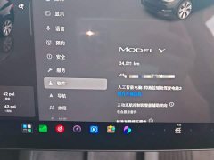 Tesla Model Y 2022 Facelift Rear-Wheel Drive - ფოტო 12