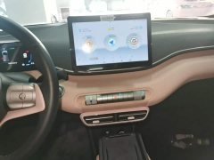 BYD Seagull 2023 Flying Edition - ფოტო 13