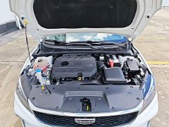 Geely Binrui 2021 1.4T CVT Asian Games Edition - ფოტო 20