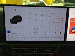 Li Auto L6 Pro - ფოტო 12