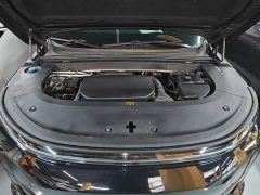 Li Auto L6 Pro - ფოტო 20