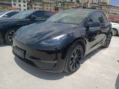 Tesla Model Y 2021 Standard Range RWD - ფოტო 1