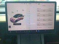 Tesla Model Y 2021 Standard Range RWD - ფოტო 12