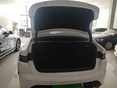 BYD Destroyer 05 Glory Edition DM-i 55KM Luxury - ფოტო 19